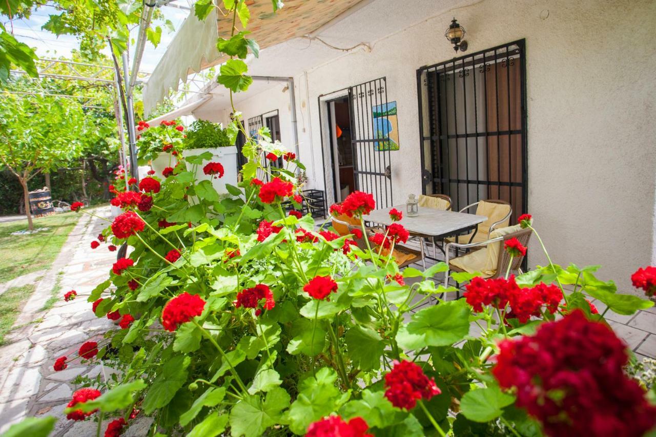 Willa Nakou House Vráchos Zewnętrze zdjęcie